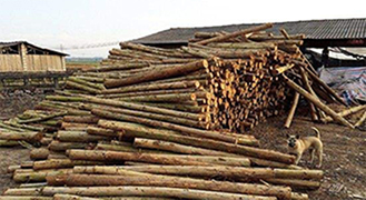 不想木材發霉，學會這幾種方法是關鍵