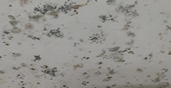 墻壁發霉怎么處理，看完這篇就別再百度啦！