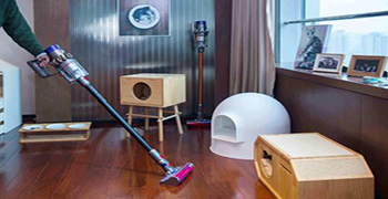 七月怎樣擺脫“霉運”？先從重視家居環(huán)境開始！