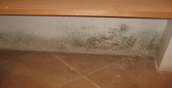 開學季，對發霉的墻壁說拜拜