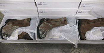 倉庫鞋子防霉方案