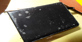 皮夾錢包發(fā)霉如何正確處理