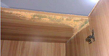 柜子長霉怎么處理？對于柜子發(fā)霉除霉劑廠家有招