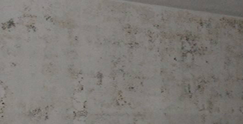 寫(xiě)字樓墻壁發(fā)霉怎么處理？