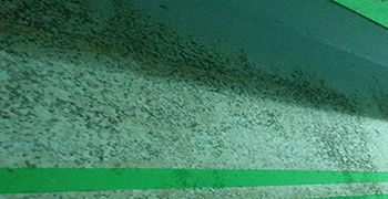 車庫除完霉后多久可以正常使用？