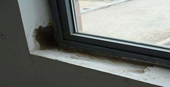 窗戶周邊滲水發霉怎么辦？霉博士有妙招