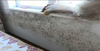 墻面發霉怎么辦?學會這招除霉只需三分鐘!