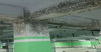 地下停車場發(fā)霉怎么處理?