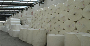 聽說紙巾也會發霉，霉博士來支招了！