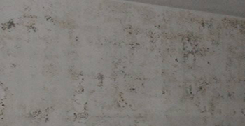 多雨季節(jié)，家里墻壁長霉這樣處理效果倍棒！