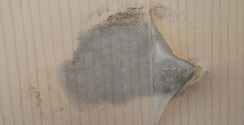 墻紙要做防霉的話，這個(gè)一定要知道！