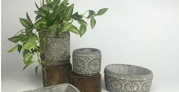 水泥花盤也會發(fā)霉,你還不知道嗎？