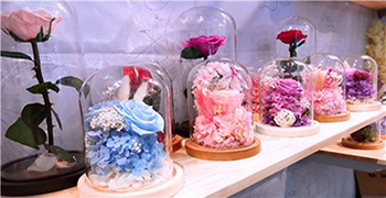 如何做到讓永生花不發霉？