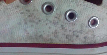 帆布鞋發(fā)霉的處理方法！