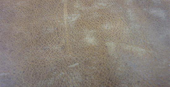 瘋馬油皮為什么會發(fā)霉？及其除霉防霉措施