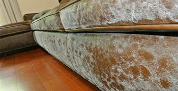 還不知道皮沙發(fā)發(fā)霉怎么處理的，趕緊看過來！！！