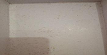 要想鞋盒不發霉，這個方法工廠一定知道！