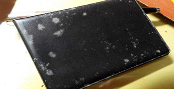 皮革為什么容易發霉？皮革的有效防霉措施！