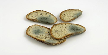 食物發霉還能吃嗎？吃了發霉的食物該怎么辦？