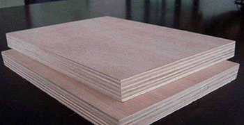 工程板材易發霉嗎？霉博士來幫你