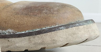 皮鞋受潮易發霉，霉博士教你如何預防皮鞋發霉