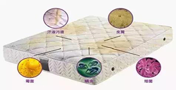 防霉劑廠家為你解答床墊細菌多不多？
