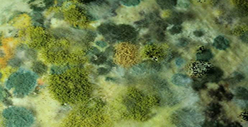 發霉的條件是什么？