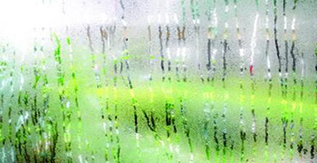 日常生活中你最怕什么物品發霉？