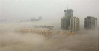 認(rèn)識(shí)一下微生物造成的災(zāi)害