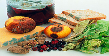 微生物災(zāi)害所涉及的領(lǐng)域有多少（一）？