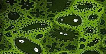 電磁波滅菌除菌!