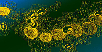 高電壓滅菌機制!