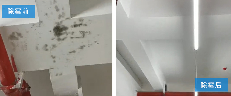 關(guān)于墻體除霉一定要試試它!