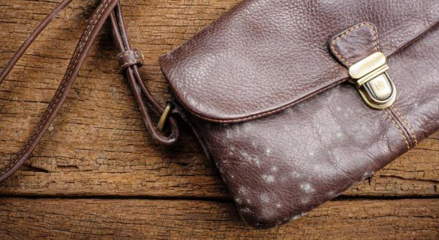 防止皮革發(fā)霉的辦法!