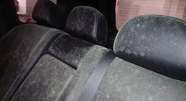 汽車內飾發霉是什么原因?該怎么辦?