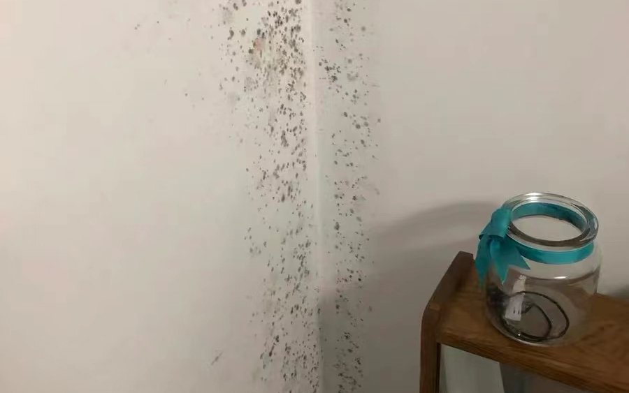 墻面發霉怎么處理？教你一招自己在家就能解決