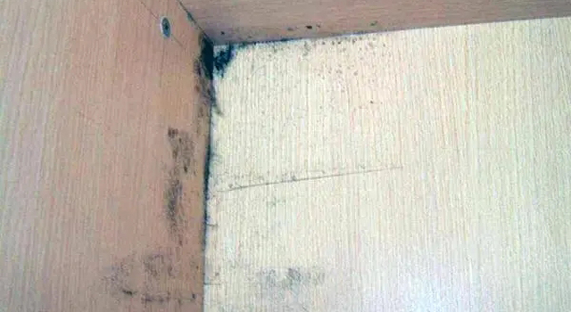 展示柜防霉處理方案!