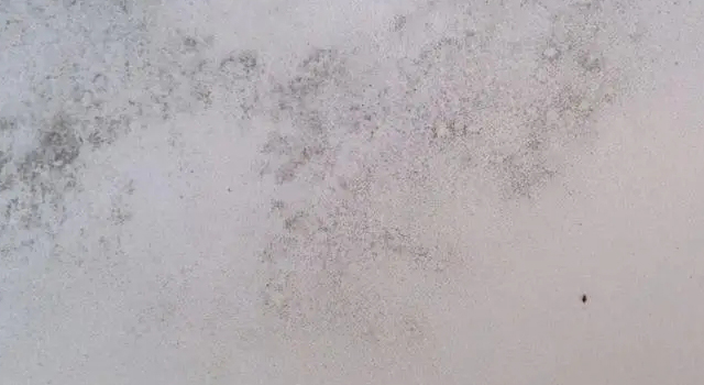 墻壁頻頻發霉？那是因為你還沒有用過防霉涂料