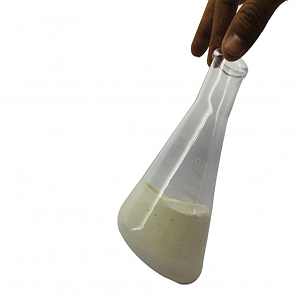 膠水防霉劑 膠水防霉劑