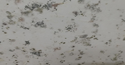 墻面發霉 墻面發霉