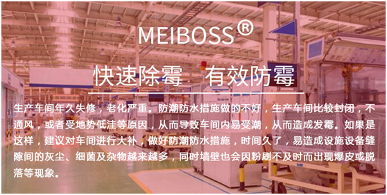 生產車間專用除霉劑