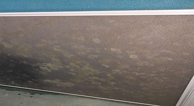 卡座發(fā)霉 卡座發(fā)霉