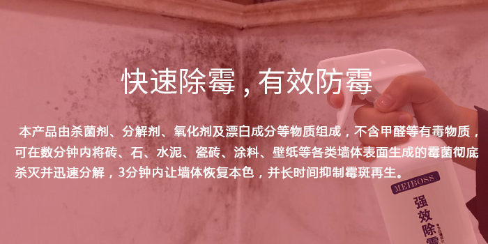 墻體除霉劑 墻體除霉劑