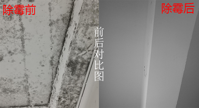 細節除霉對比圖 細節除霉對比圖