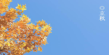 立秋 立秋