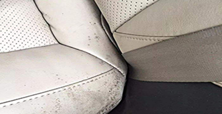 坐墊發(fā)霉 坐墊發(fā)霉