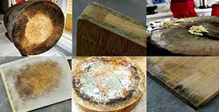 木制品發霉 木制品發霉