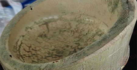 竹筒發霉 竹筒發霉