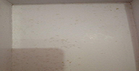 鞋盒發霉 鞋盒發霉