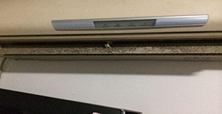 空調發霉 空調發霉